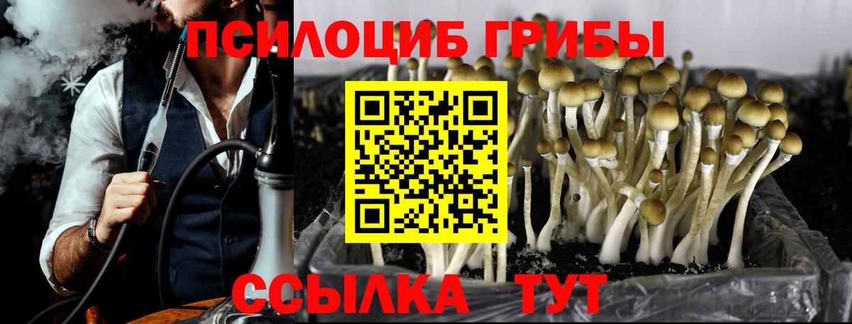 цена наркотик  Псилоцибиновые грибы Psilocybe  Вход с VPN  Артёмовский 